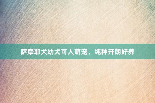 萨摩耶犬幼犬可人萌宠，纯种开朗好养